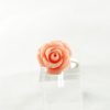 Anillo Coral