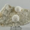 Okenita