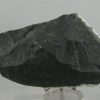 Okenita