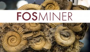 FOSMINER