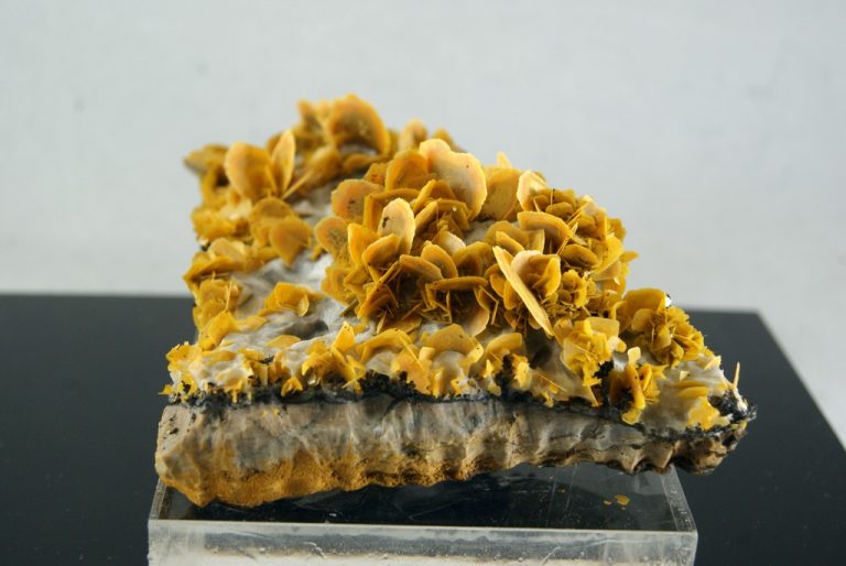 Wulfenita