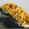 Wulfenita